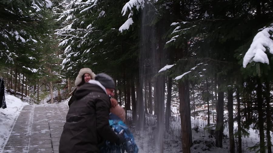 Родина годує альпаку